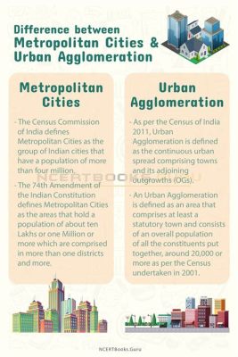 metropolitan 意味：都市の光と影を探る